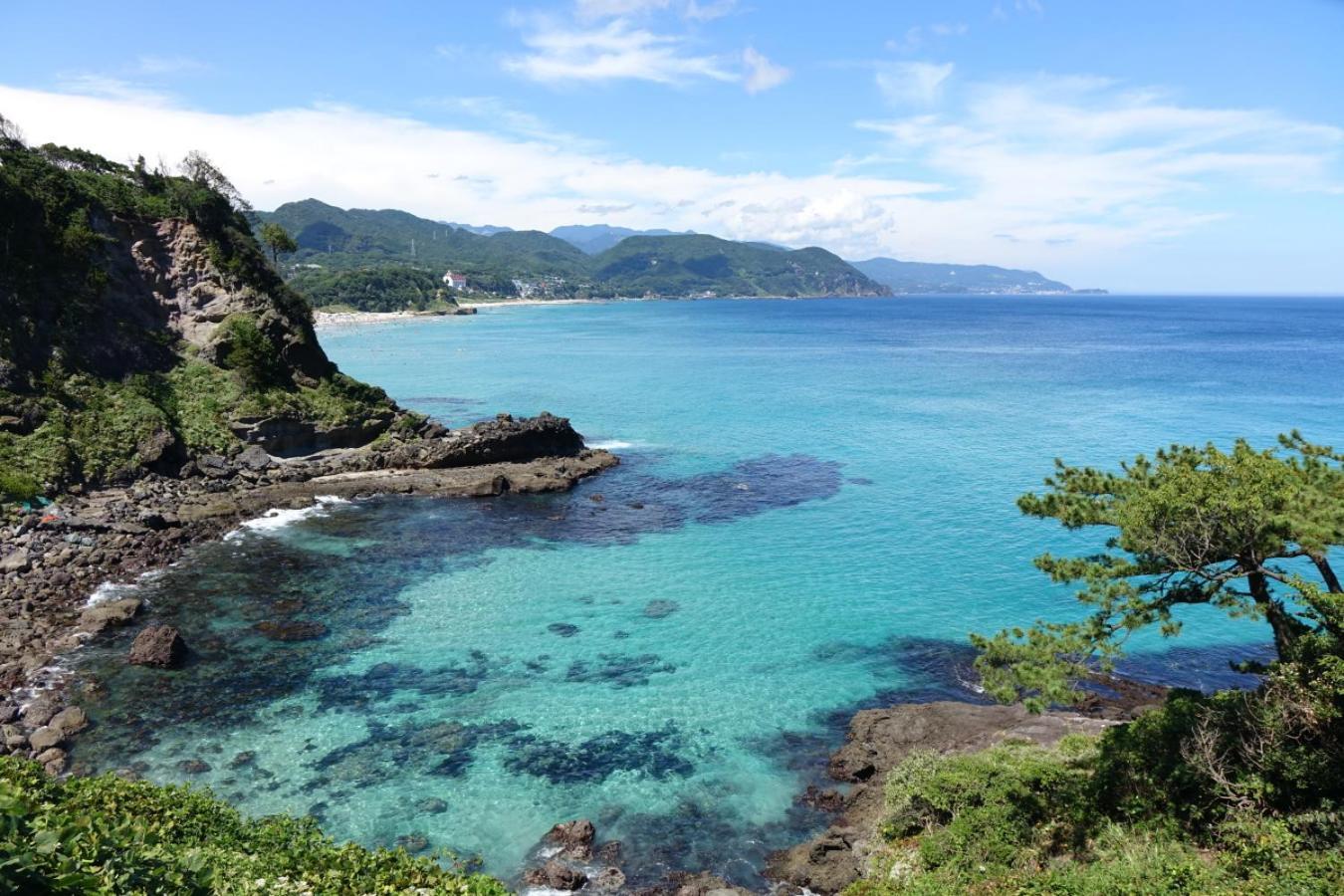 ペンション桜家 Hotell Shimoda  Exteriör bild